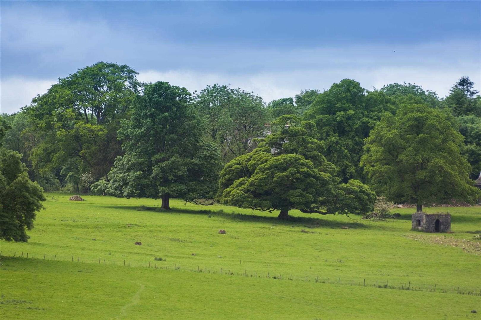 Llwyn Onn, Llanfairpwll